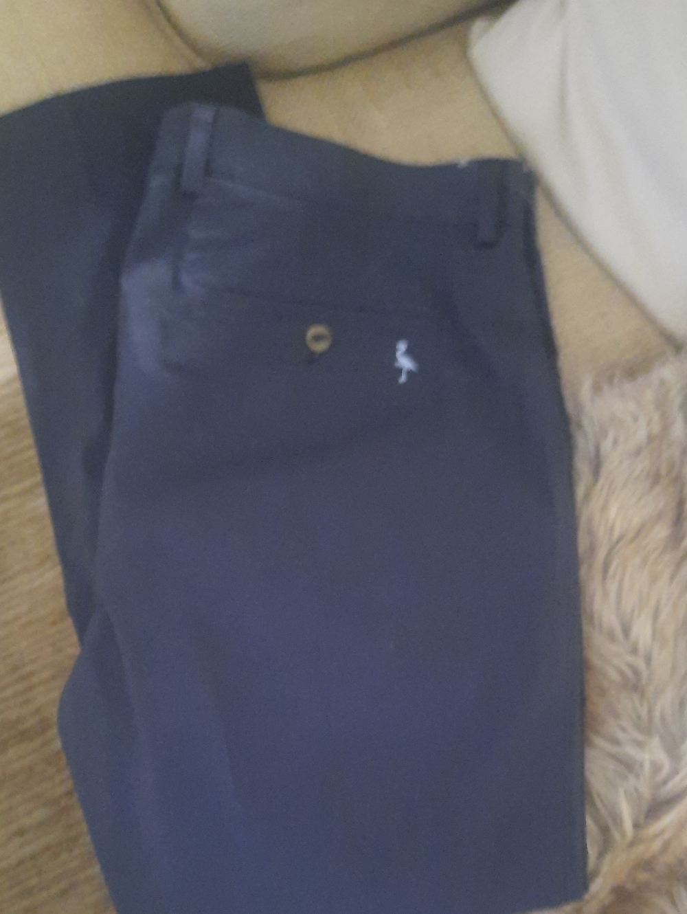 Tailorbyrd Men's Navy Chinos with Subtle Logo Embroidery